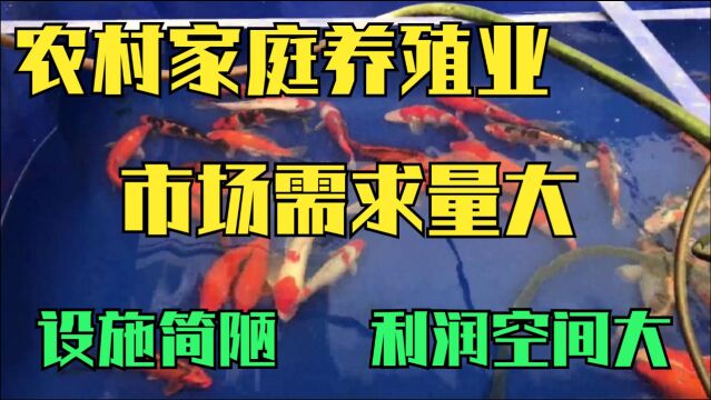 农村家庭冷门养殖业,投资小利润高,市场上供应不求