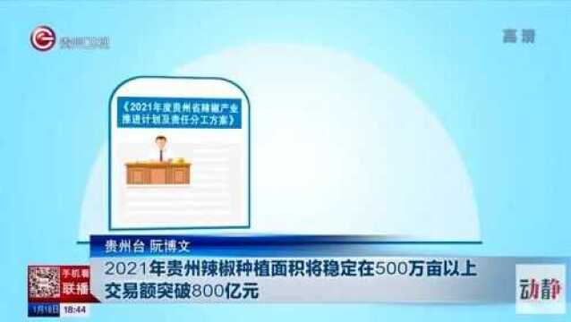 2021年辣椒种植面积将稳定在500万亩以上交易额突破800亿元