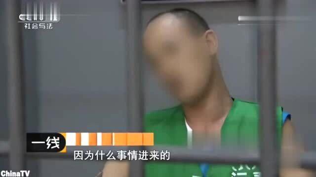 珍贵香楠树被盗走,一次性被盗12棵震惊全国,盗贼简直太狠