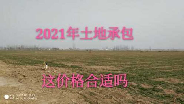 2021年土地承包多少钱一亩,小伙说出实价,看看这价格合理吗