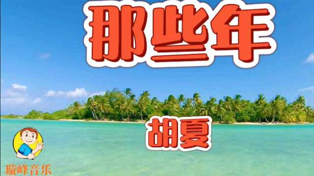 胡夏经典歌曲:那些年