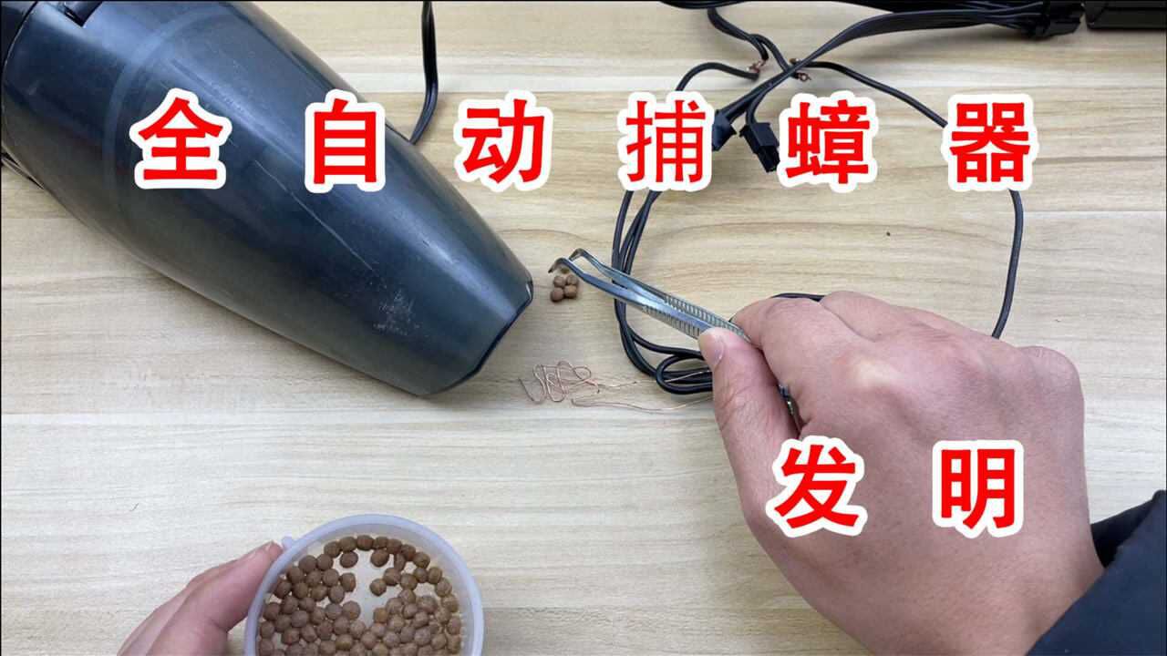 超级硬核!自制全自动蟑螂捕捉器!