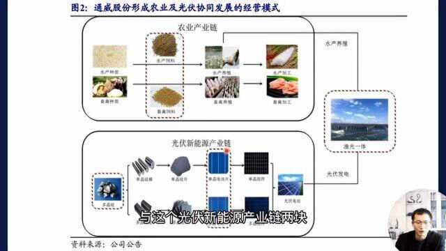 高瓴资本为何重仓通威股份?光伏龙头背后的上涨逻辑在哪?