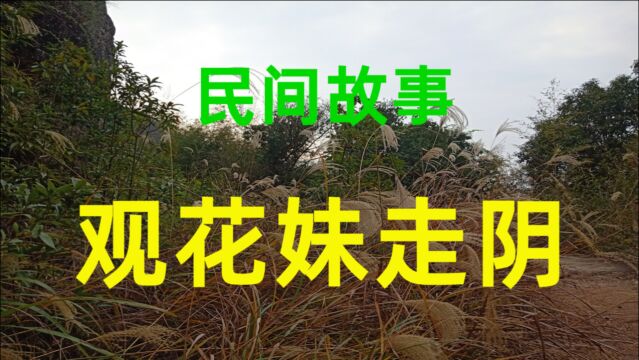 民间故事《观花妹走阴》李大爷娶了一位尖嘴毒蛇的老婆