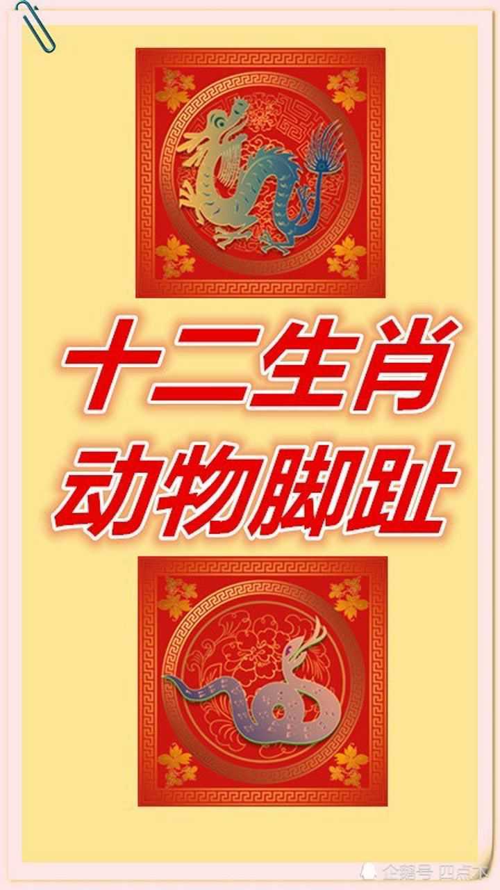 十二生肖里每种动物的趾数