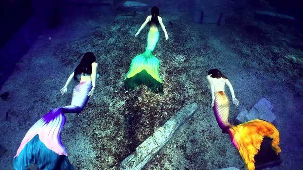 你幻想过美人鱼的存在吗关于美人鱼的真实故事