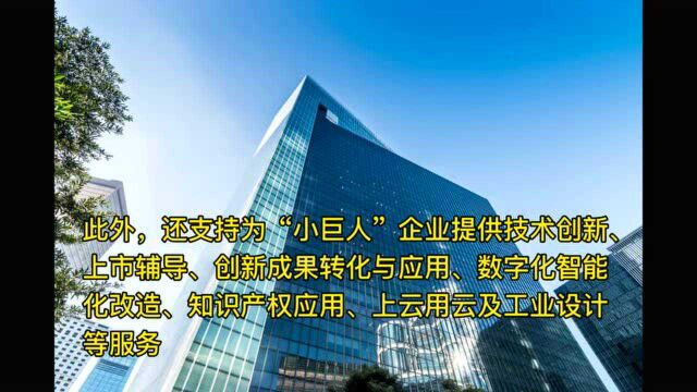 财政部、工信部联合发文 百亿奖补资金支持千余家“小巨人”企业