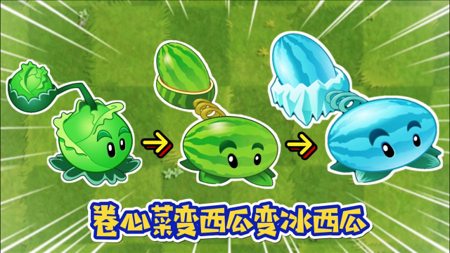 植物大战僵尸2:卷心菜进化西瓜投手再进化冰西瓜投手