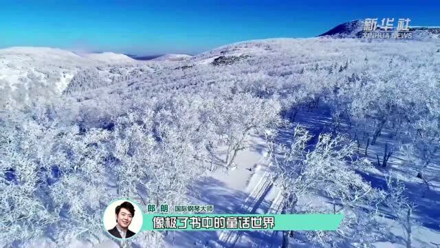 请随我来ⷥŽ𛮐Š哈尔滨邂逅一场冰雪奇缘