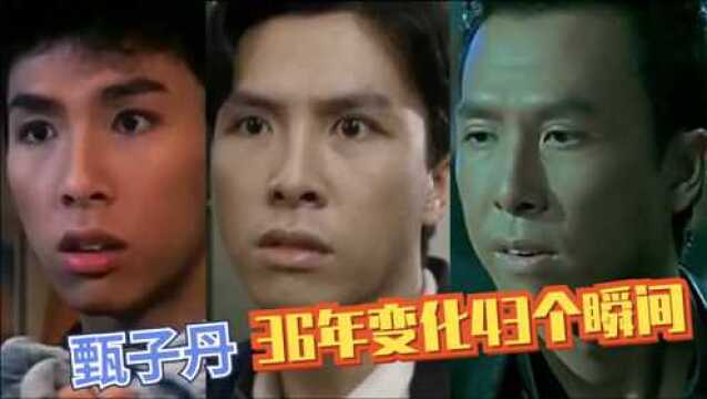 甄子丹出道36年,演绎真功夫,经典电影全集