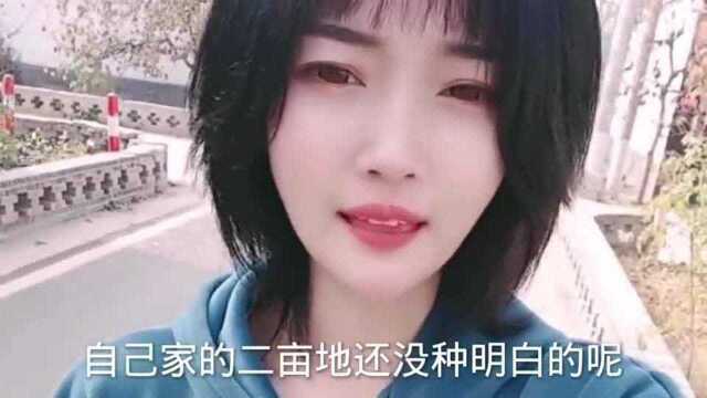 大哥,到底是什么书,有这么大的魔力