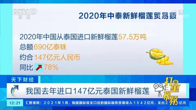 我国去年进口147亿元泰国新鲜榴莲,同比增长78%