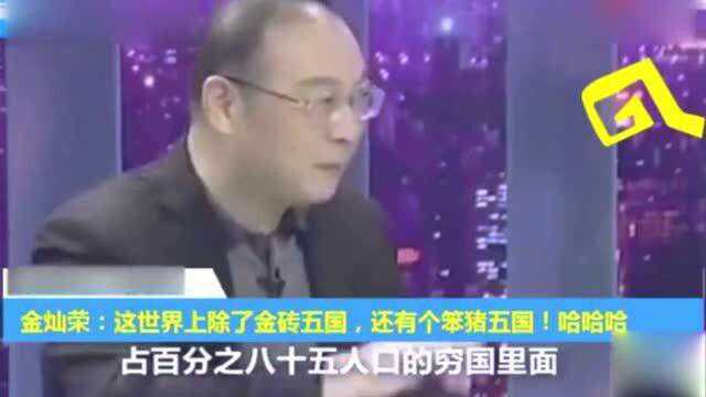 金灿荣:这世界上除了金砖五国,还有个笨猪五国!哈哈哈