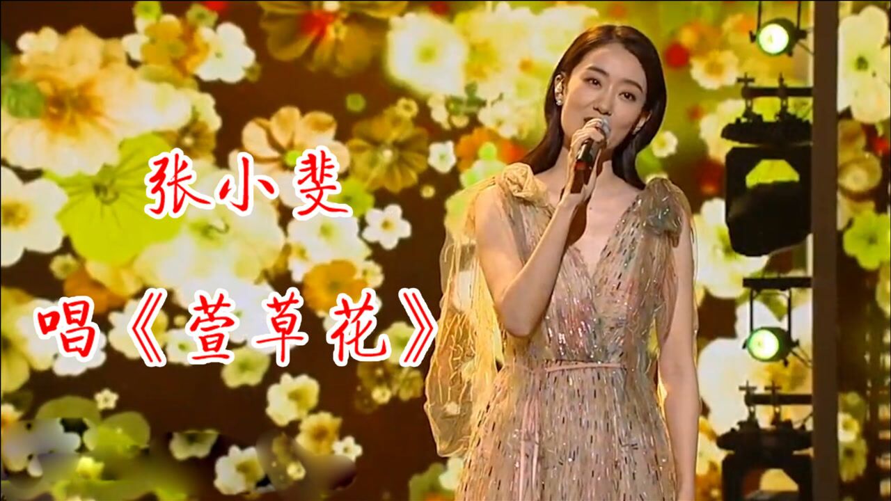 张小斐含泪演唱萱草花开口声音温暖唱的太治愈了