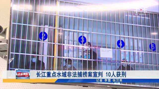 长江重点水域非法捕捞案宣判 10人获刑 案件详情来了解下