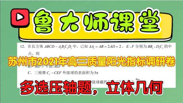 Q122.苏州市2021年高三质量阳光指标调研卷多选压轴题,立体几何