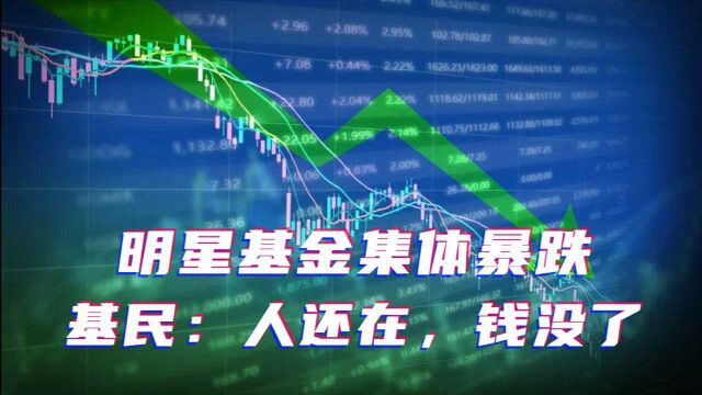 绿到发慌!已有基金13天巨亏近30%,年轻人又被“割”了?投资的风险你都懂吗?