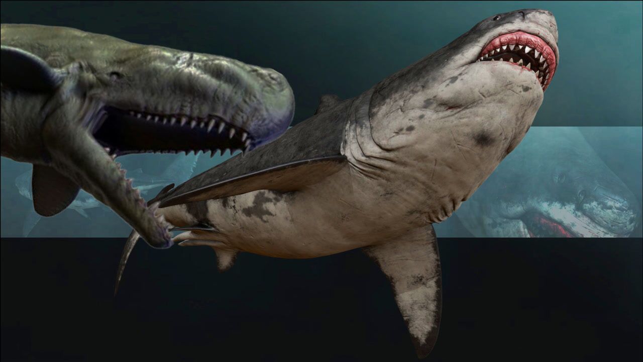 【巨齿鲨vs利维坦鲸】我不吃的它给你当化石,我不叫巨齿鲨