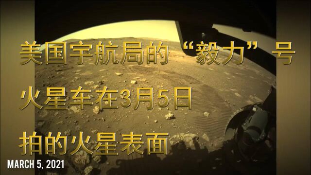 美国宇航局的“毅力”号火星车在3月5日拍的火星表面