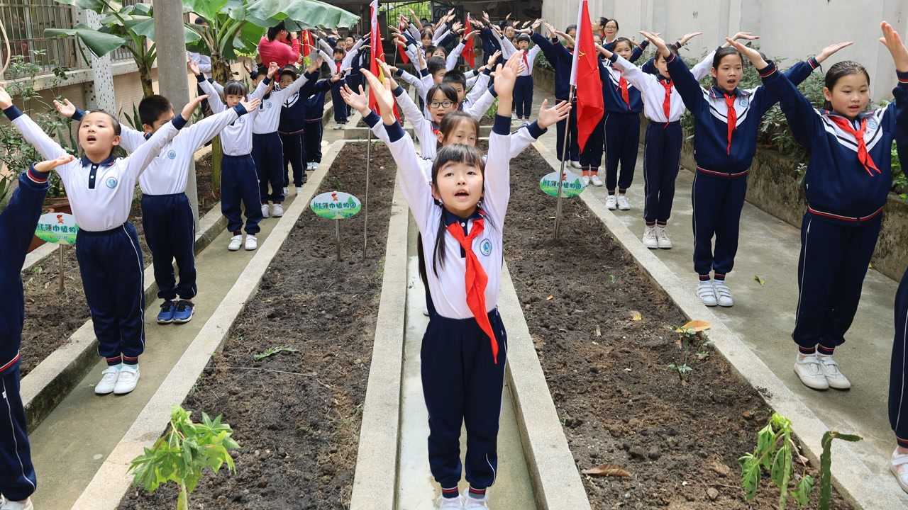 华怡小学红领巾植物园启动仪式