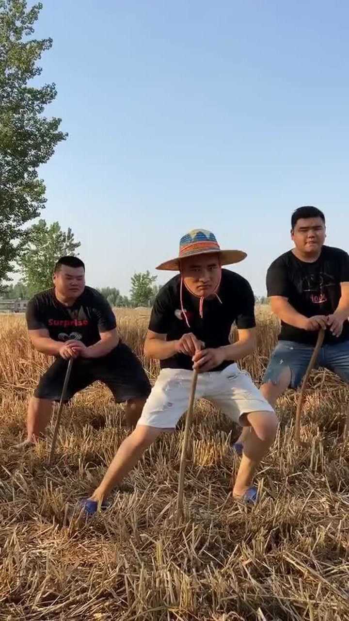 呼叫全网河南老表 回家收麦