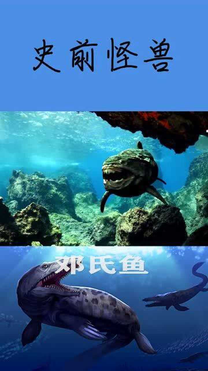 科学家分析称,邓氏鱼拥有强大的咬力,能够咬碎任何物体.