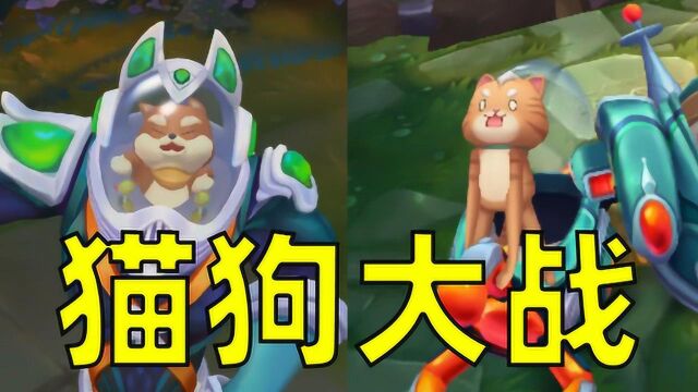 【皮肤背景】猫狗大战!丽桑卓后续登场?伊苏尔德加入战斗?