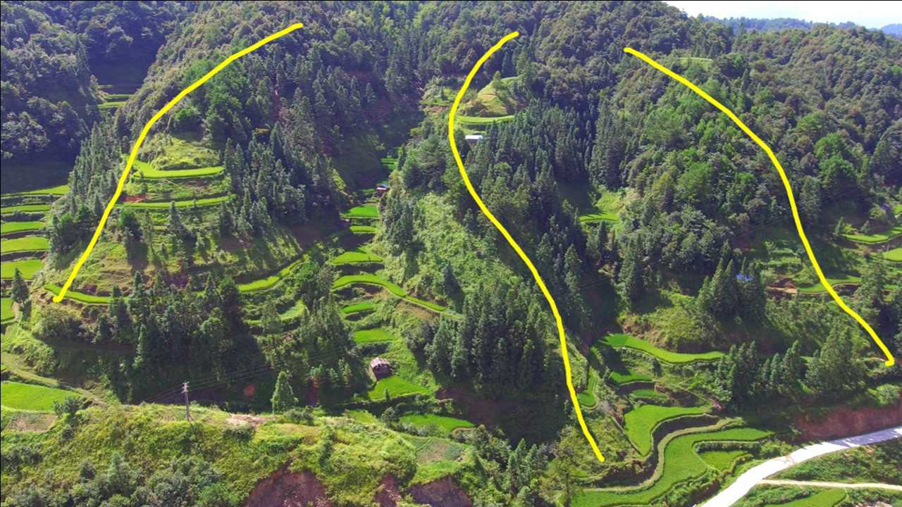 路边发现一处风水宝地凤凰展翅吉祥之地大家觉得是否吉祥