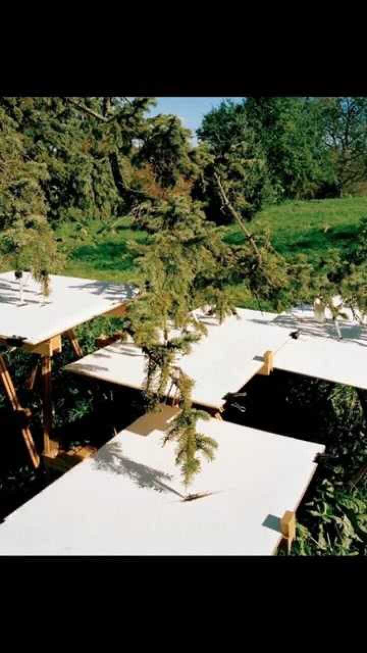 艺术家tim knowles把笔绑在树上,让树随风飘动,记录下风的温柔.