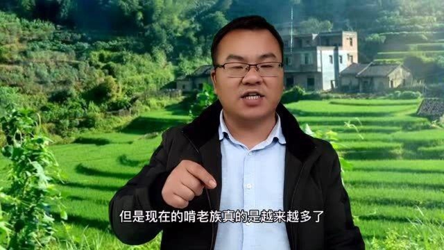 越来越多的8090后沦为啃老族,到底什么原因?农村大哥说出大实话