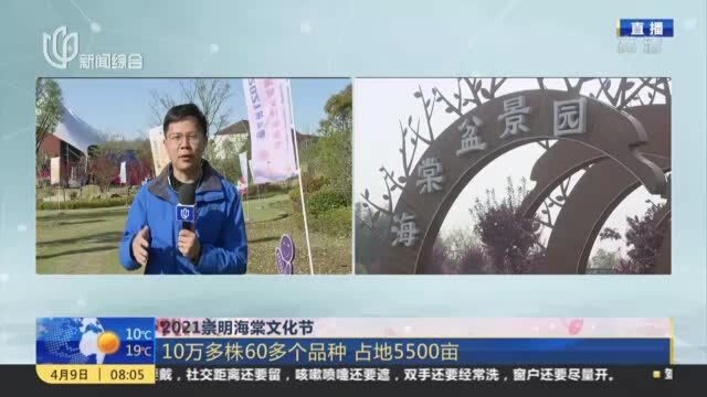 2021崇明海棠文化节:10万多株60多个品种 占地5500亩