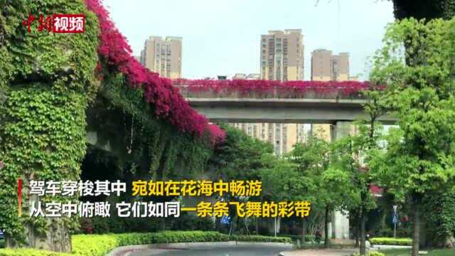 福州市区高架桥现彩色飘带