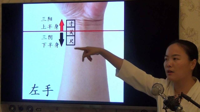 养生四诊脉诊三焦分区、三阴三阳分区