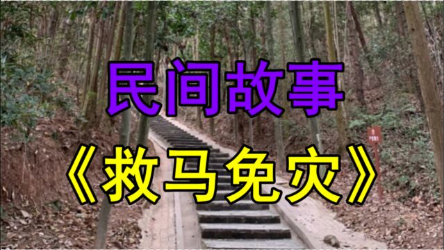 民间故事《救马免灾》话说在浙江的嘉兴府有一个客商叫周安泰