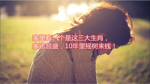 家里有一个是这三大生肖,家运昌盛,10年里摇树来钱!