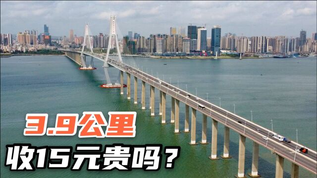 实拍湛江海湾大桥,15年前耗资12亿建成,4公里收费15元贵吗?