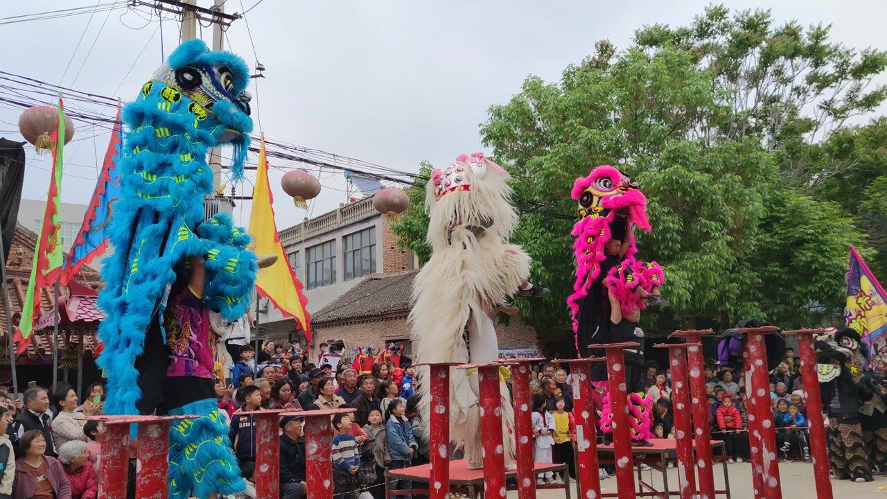河南农村特色舞狮,四只舞狮轮番表演掌声不断,17分钟实拍