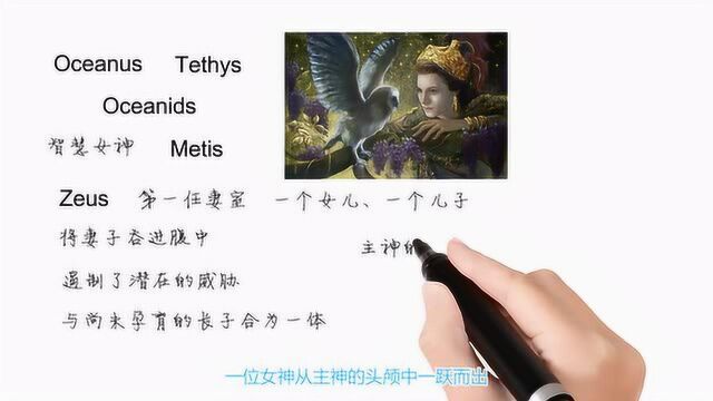 英语单词背后的文化,Metis有关zeus的第一个妻子,轻松学英语