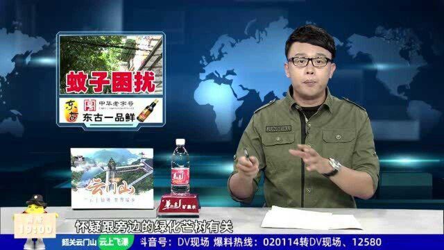 街坊求助:蚊子过多防不胜防 怀疑绿化芒所致