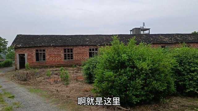 3000平方的废弃养殖场,有水电网络,有池塘果园小树林可租可转让,租金