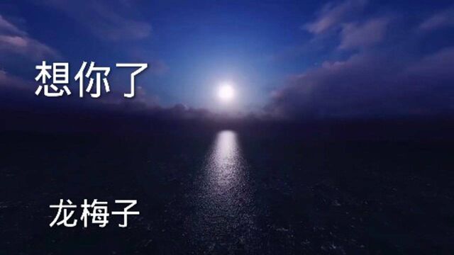 龙梅子演唱《想你了》