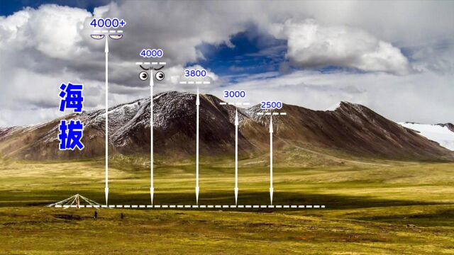 Top5地球上平均海拔最高的高原排行榜!