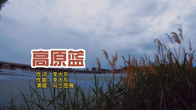 草原花最经典的歌曲,乌兰图雅一曲《高原蓝》唱得完美,好听至极!