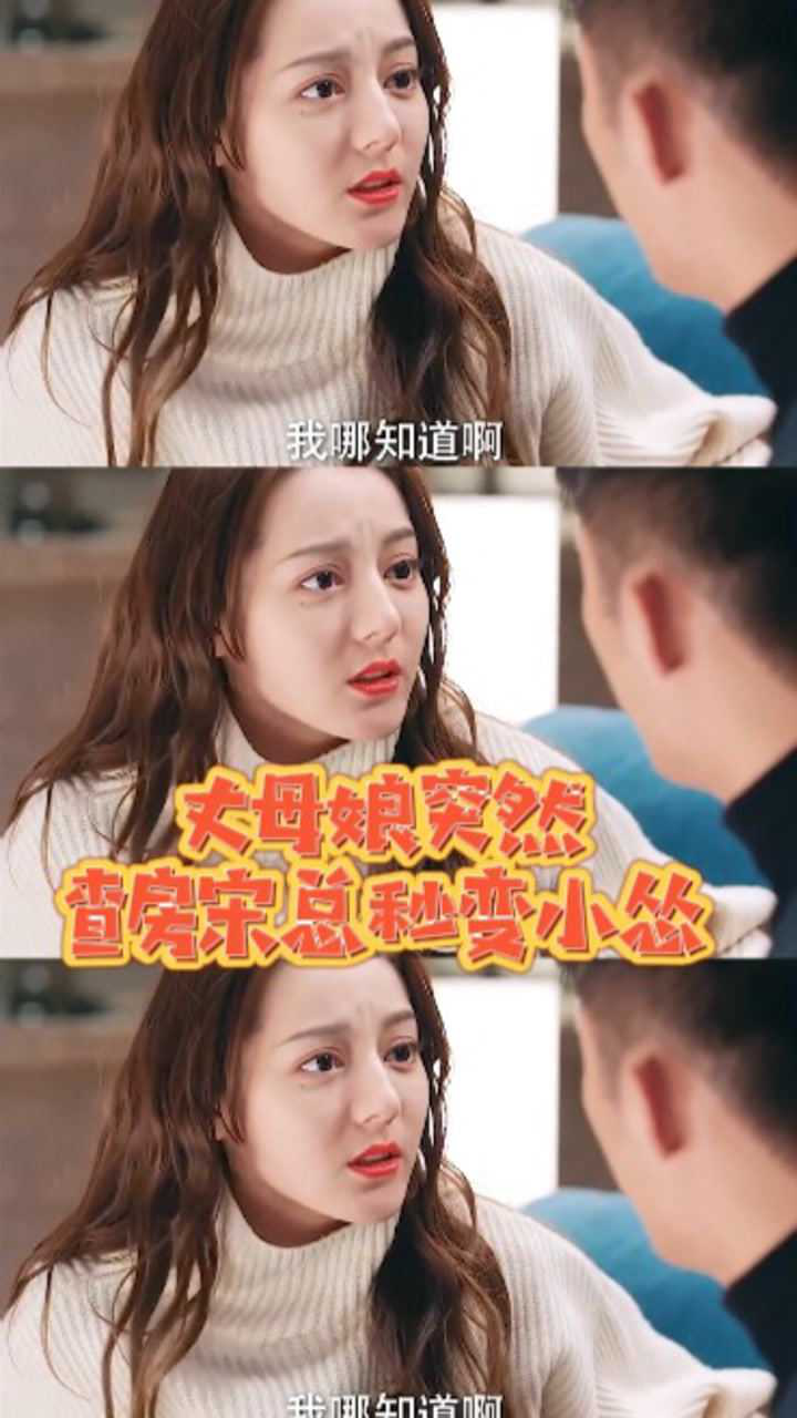 恋爱大型社死现场丈母娘突然查房宋总秒变小怂这一声妈差点把我送走