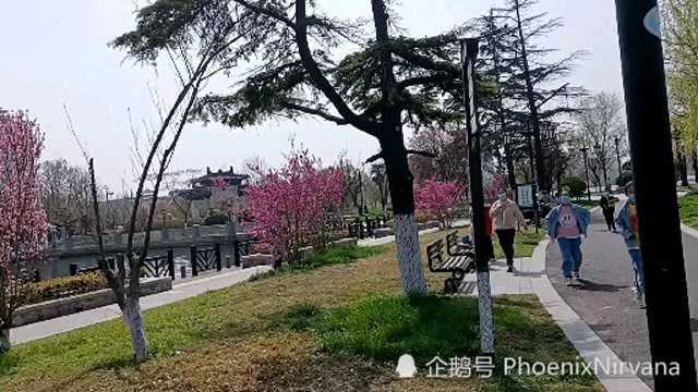 江苏淮安涟水五岛湖风景随手一拍