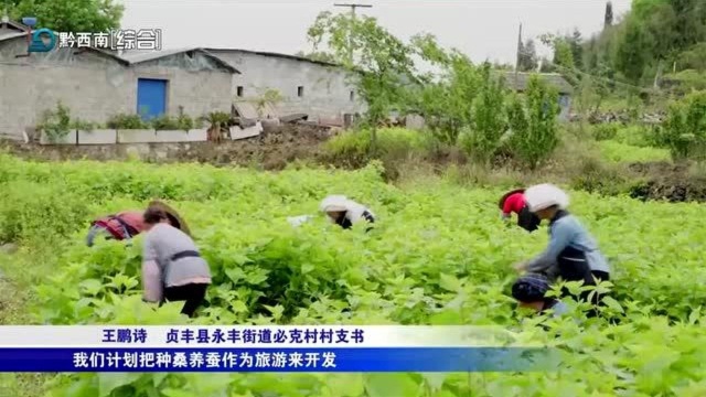 贞丰:发展山地生态农业 接续推进乡村振兴