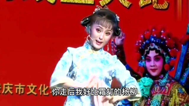 黄梅戏《小辞店》选段,专业演员潘玲玲演唱,天籁之音!