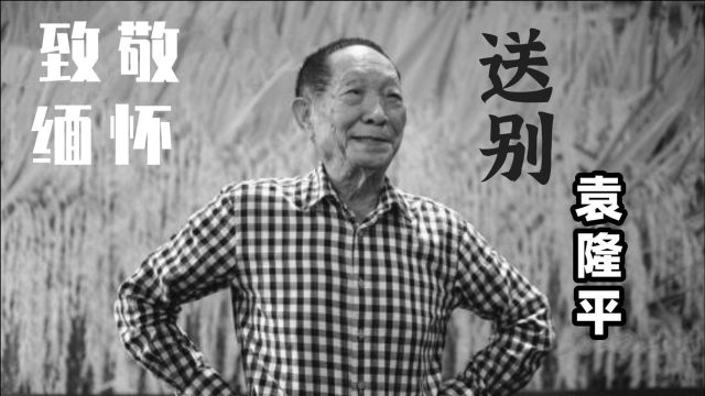 痛别!享年91岁袁隆平于长沙逝世,回顾“杂交水稻之父”的生平