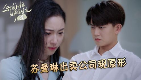 速看《乌鸦小姐与蜥蜴先生》26：顾川赢得投标辞退苏曼琳