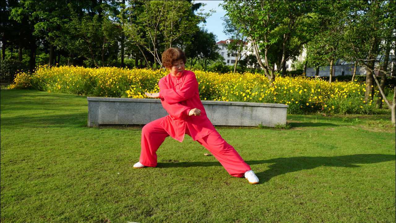 赵亚香新编28式太极拳